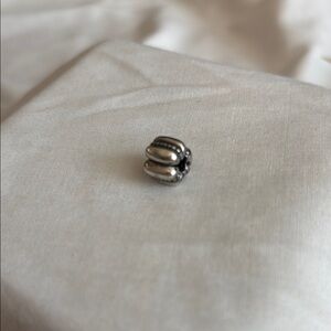Pandora Silver Clip